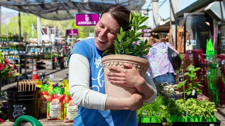 Potting Citrus with Angela Turner