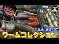 【初心者必見】T.B.G！ 高橋くんのワームコレクション