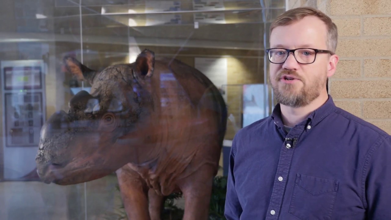 Sumatran Rhinoceros Population History/ Curr. Biol., Dec. 14, 2017 (Vol. 28, Issue 1)