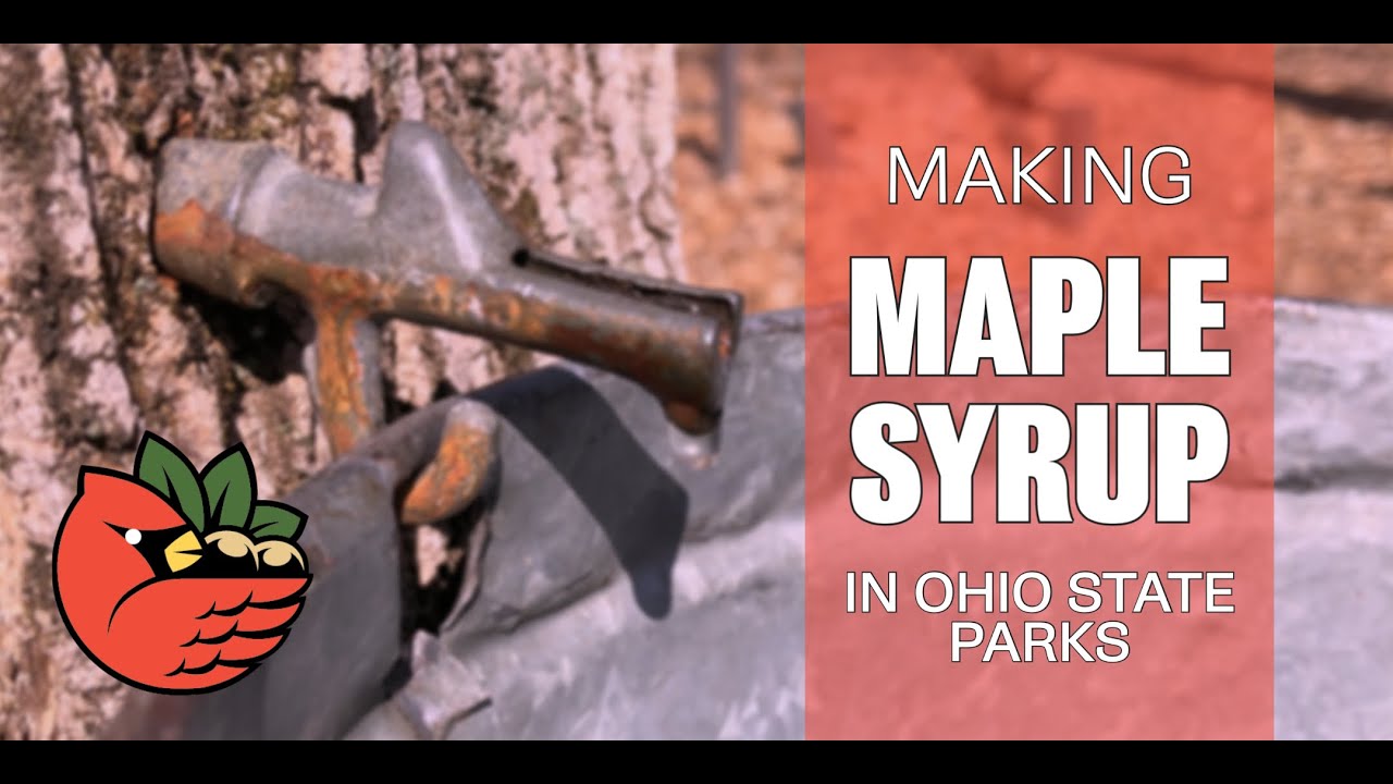 Making Maple Syrup in Ohio State Parks YouTube