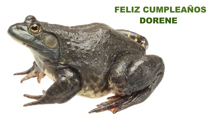 Dorene  Animals & Animales - Happy Birthday