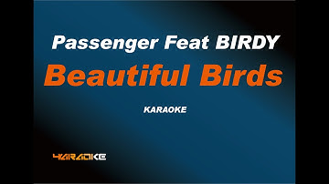 Passenger Feat BIRDY - Beautiful Birds (Karaoke Version)