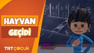 RAFADAN TAYFA | HAYVAN GEÇİDİ | TRT ÇOCUK