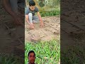 Modern Construction Techniques That Will Change The Future 🏗️ | Innovative Building Ideas#Shorts