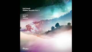 Erdi Irmak - Hidden Arcadia Vol. 5 (2020) [Proton Music]