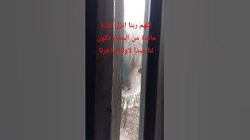 #قرآن_كريم#سورة المائدة# بصوت الشيخ_ياسر الدوسرى#اكسبلور #المصحف#قرآن_كريم #