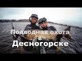 Подводная охота в Десногорске. Январь 2019 г.