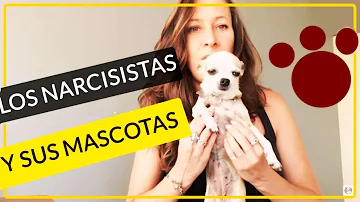 ¿Cómo tratan los narcisistas a sus mascotas?