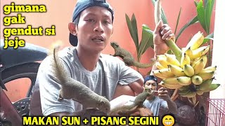 LIAT DARI DEKAT JEJE \u0026 JOJO SARAPAN #dirumahaja