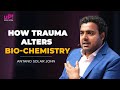 How trauma alters bio chemistry  antano  harini