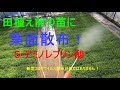 田植え前の苗に葉面散布　アラガーデンＶＦＦ