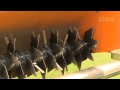 SISIS Rotorake TM 1000 - Cricket Ground Maintenance