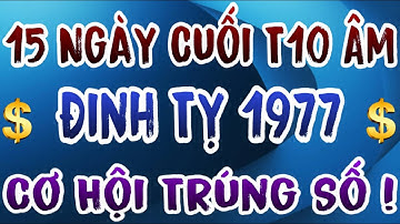 Cơ Hội Trúng Số Tuổi Đinh Tỵ 1977, 15 Ngày Cuối Tháng 10 Âm 2025 Đón Lộc Bất Ngờ, Thần Tài Phù Hộ