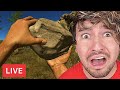 Jc Caylen plays RUST for the FIRST TIME! *FULL STREAM*
