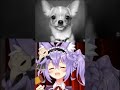 VTuber ที่เหมือนหมาชิวาว่า