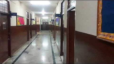 IIMT ACADEMY Skating