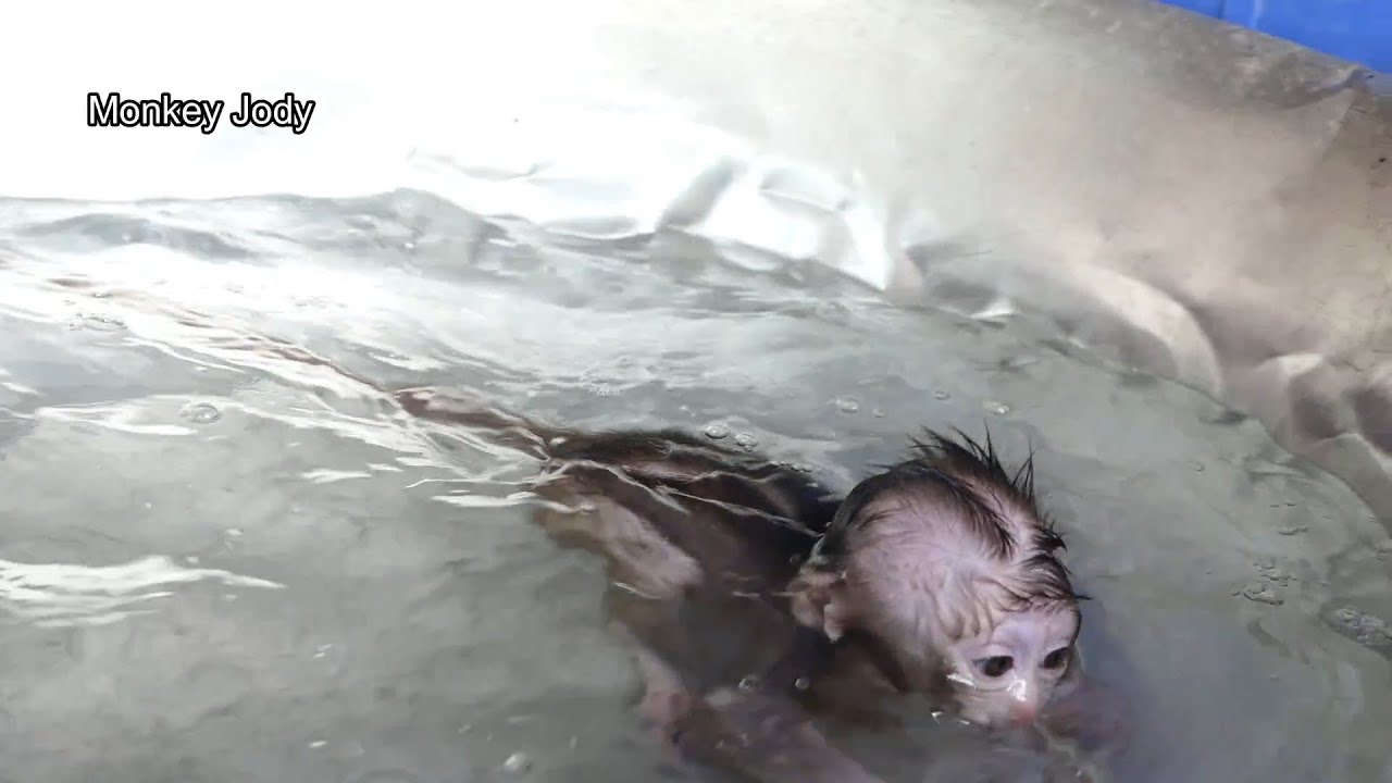Mom Train Jody Swimming Himself In Morning Bathtub .