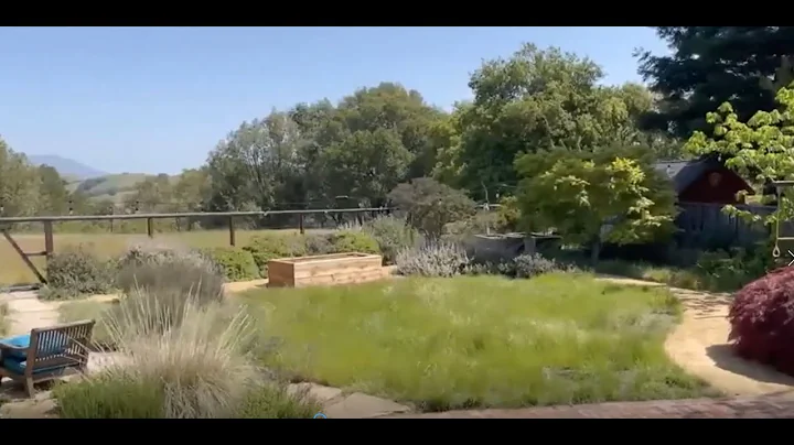 Cindy Simons garden, Castro Valley