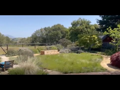 Cindy Simons’ garden, Castro Valley