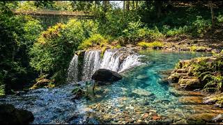 This Underrated Waterfall Will Blow Your Mind! Nature Escape