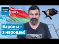 Птушкі-экстрэмісты атакавалі ЧЗ-сцяг | Птицы-экстремисты атакавали КЗ-флаг