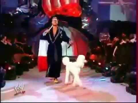 Mashup Day 2014: "Breathe, Stretch, Shake...Final Force" (Rene Dupree/Ma$e)