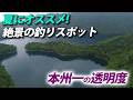 天空の避暑地には大型魚が釣れまくる楽園があった！