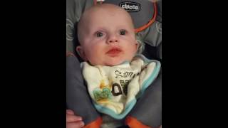 Brody eating carrots for the first time