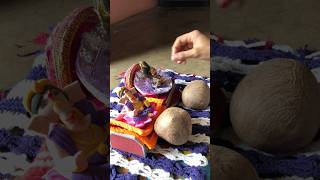 Kannu or gannuji ke sath Bhaidooj🙏🏻♥️ @iamTANU. #minivlogs #vlog #bhai #familyvlog
