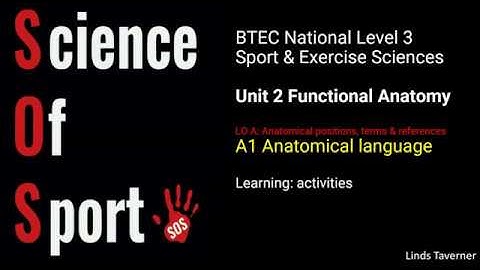 Unit 2 Functional Anatomy - A1 Anatomical language - Learning activities