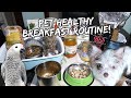 How I Make a HEALTHY BREAKFAST for My BIRD & PUPPY | Vlog #902