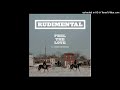 Rudimental feat. John Newman – Feel The Love (Radio Edit) [HQ]