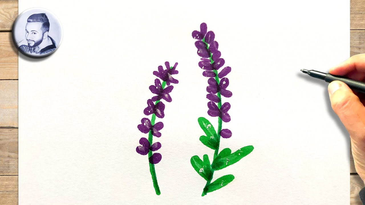 comment-dessiner-une-fleur-de-lavande-facile-youtube