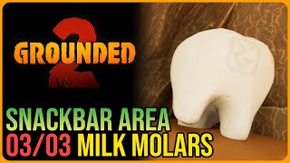 Download Lagu All Snackbar Milk Molar Locations – Grounded 2 MP3