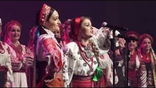 Українська народна пісня Виспівує соловейко by Народні пісні та музика 262 views 1 month ago 1 minute, 24 seconds