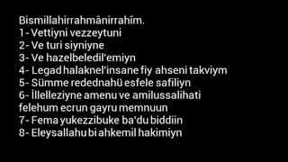 Tin Suresi - Saad Al Ghamdi (Ezber için)