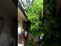 aftermath sa bagyong ODETTE 12-17-21