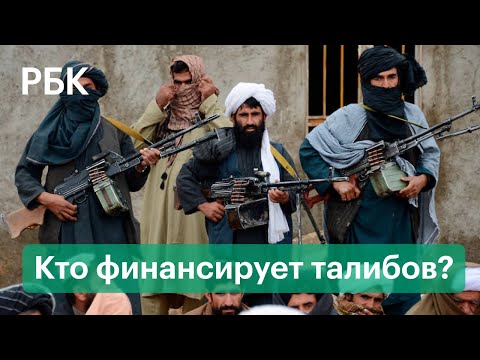 Талибы: кто их финансирует и почему их не смогла победить армия США