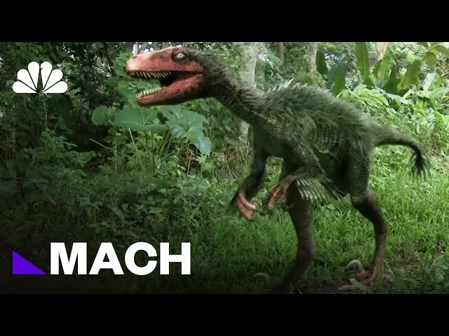 The Real-Life Inspiration Behind the 'Jurassic Park' Velociraptors