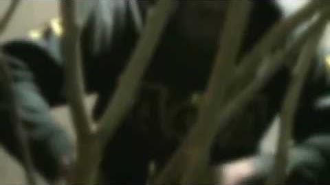 ETA chapter of Alpha Phi Alpha PROBATE spring 2012