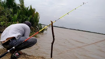 Câu cá sông hiệp Phước,nha bè