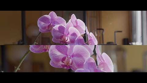 Canon R5 8K raw vs 5D3 magic lantern raw