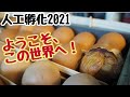 卵からヒヨコが生まれるまで①【自給生活北海道ぐるりの暮らし#82】人工孵化をスタートして3週間。孵卵器を使った今回の孵化をまとめます。途中の検卵の様子や育雛箱の準備についても説明しています。