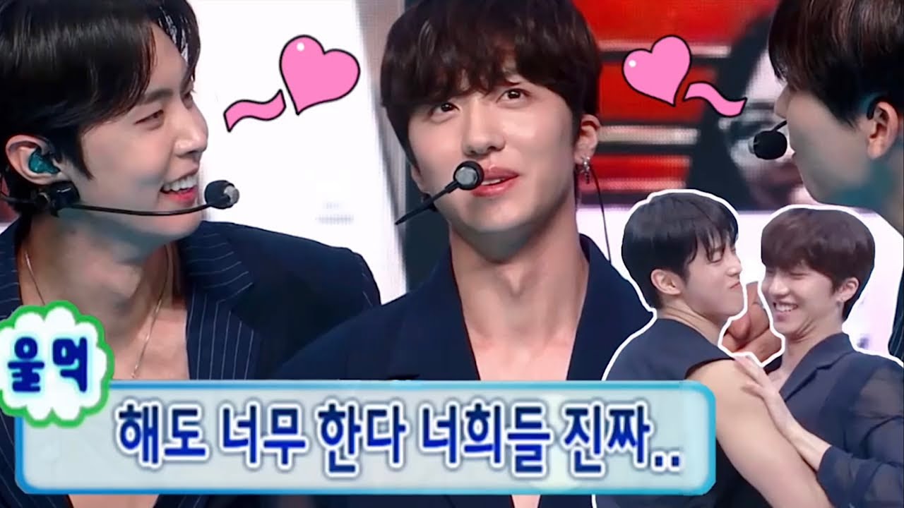 [SF9] 오늘도 나는 SF9보다 SF9을 사랑하지 못했다 | How SF9 love each other (ENG)