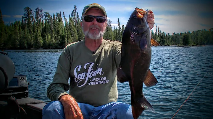 Searching for Smallies