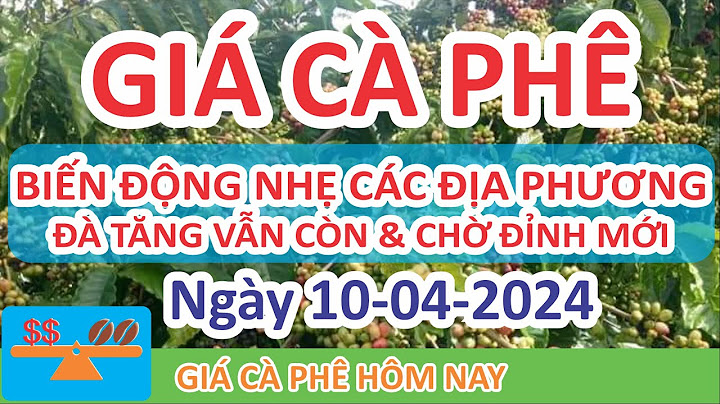 Hôm nay giá cà phê bao nhiêu năm 2024