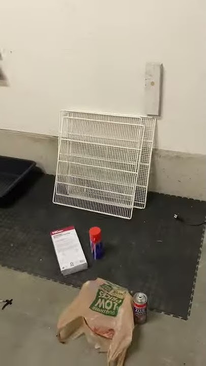 Ball python incubator DIY - YouTube