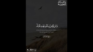 ﴿ما أَصابَ مِن مصيبة إِلّا بِإِذنِ اللهِ ومن يُؤمِن بِاللَّه يَهدِ قَلبَهُ..﴾ | القارئ: راشد الحليبة