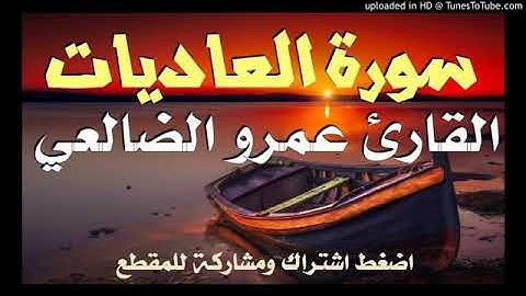 القارئ عمرو الضالعي _سورة العاديات