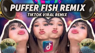 Puffer Fish Remix ( TikTok Viral Remix )( Budots Dance ) DjPauloRemix